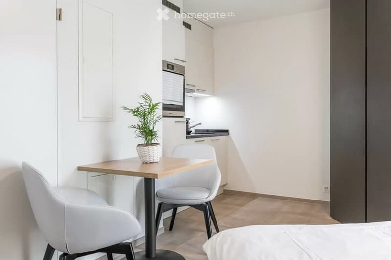 A modern, compact living space with a small dining table and chairs, a potted plant, and a kitchenette area featuring an oven and faucet.