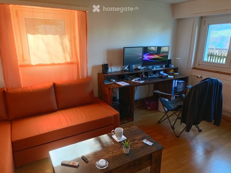 A cozy living room with a wooden floor, orange sofa, coffee table, desk with a laptop and dual monitors, and a small potted plant on the coffee table.