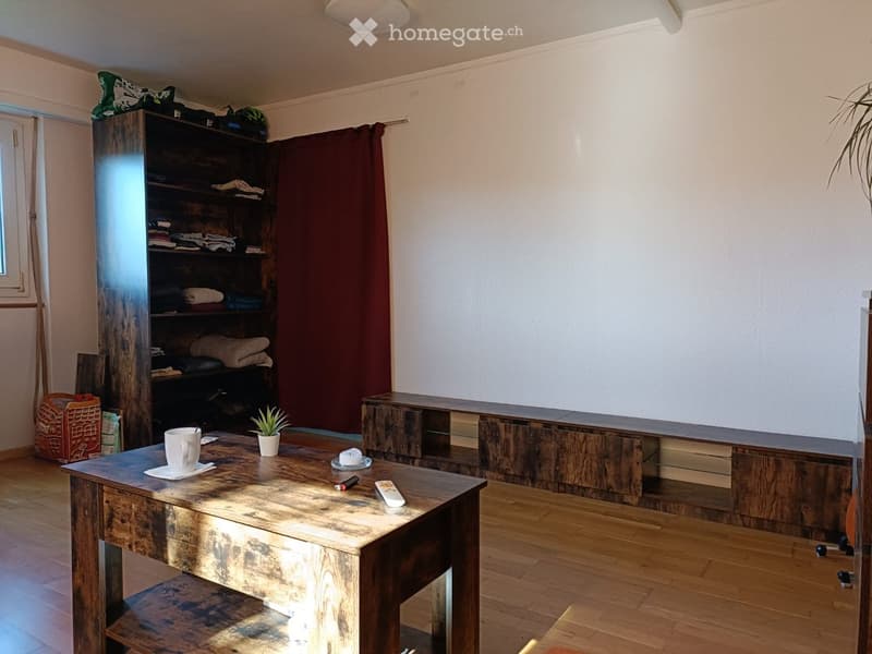 A cozy living room with wooden flooring, a rustic wooden table, a shelf with folded blankets, and a potted plant on the table.