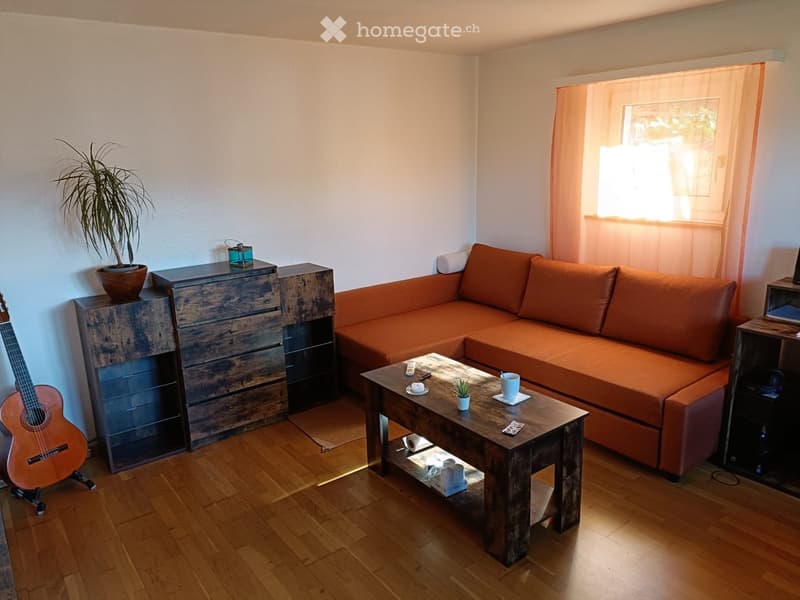A cozy living room with a wooden floor, orange sofa, coffee table, side table, guitar, and potted plants.