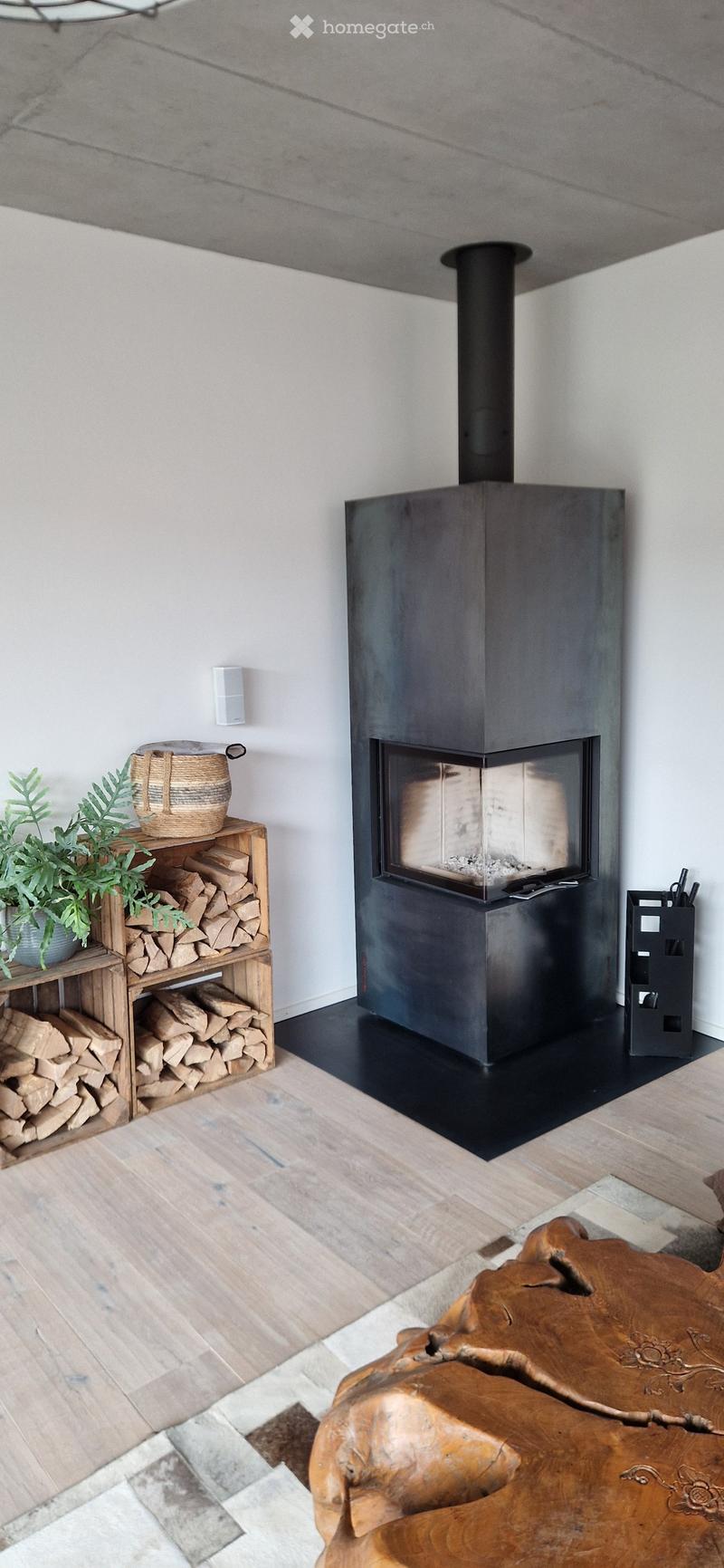 Modern living room with a sleek black fireplace, wooden flooring, and a wooden shelf holding logs and a potted plant.