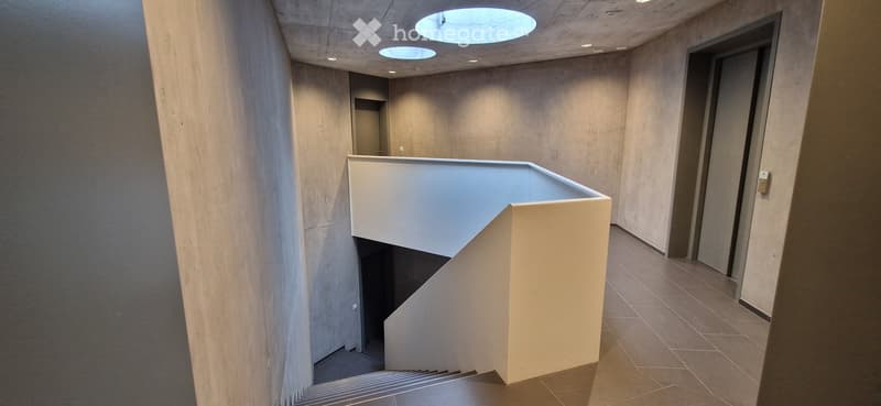 Modern, minimalist hallway with a raised ground floor, white walls, and recessed lighting. Features a staircase leading to an upper level with a white landing.