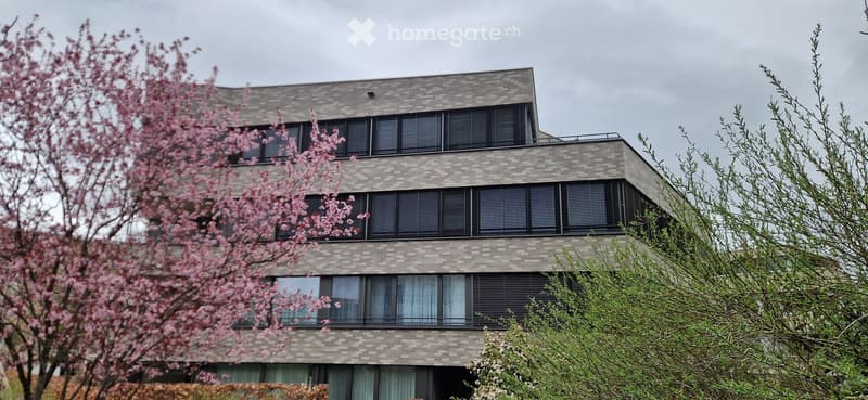 Modern multi-story building with grey brick facade, large windows, and a flat roof, surrounded by trees and shrubs.
