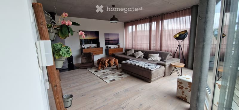 Modern living room with light wooden flooring, large windows with sheer curtains, grey sectional sofa, coffee table, armchairs, floor lamp, and decorative plants.