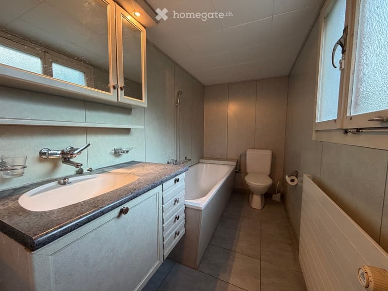Modern bathroom with a sink, bathtub, toilet, and mirrored cabinet. Features a granite countertop, sleek fixtures, and ample natural light from windows.