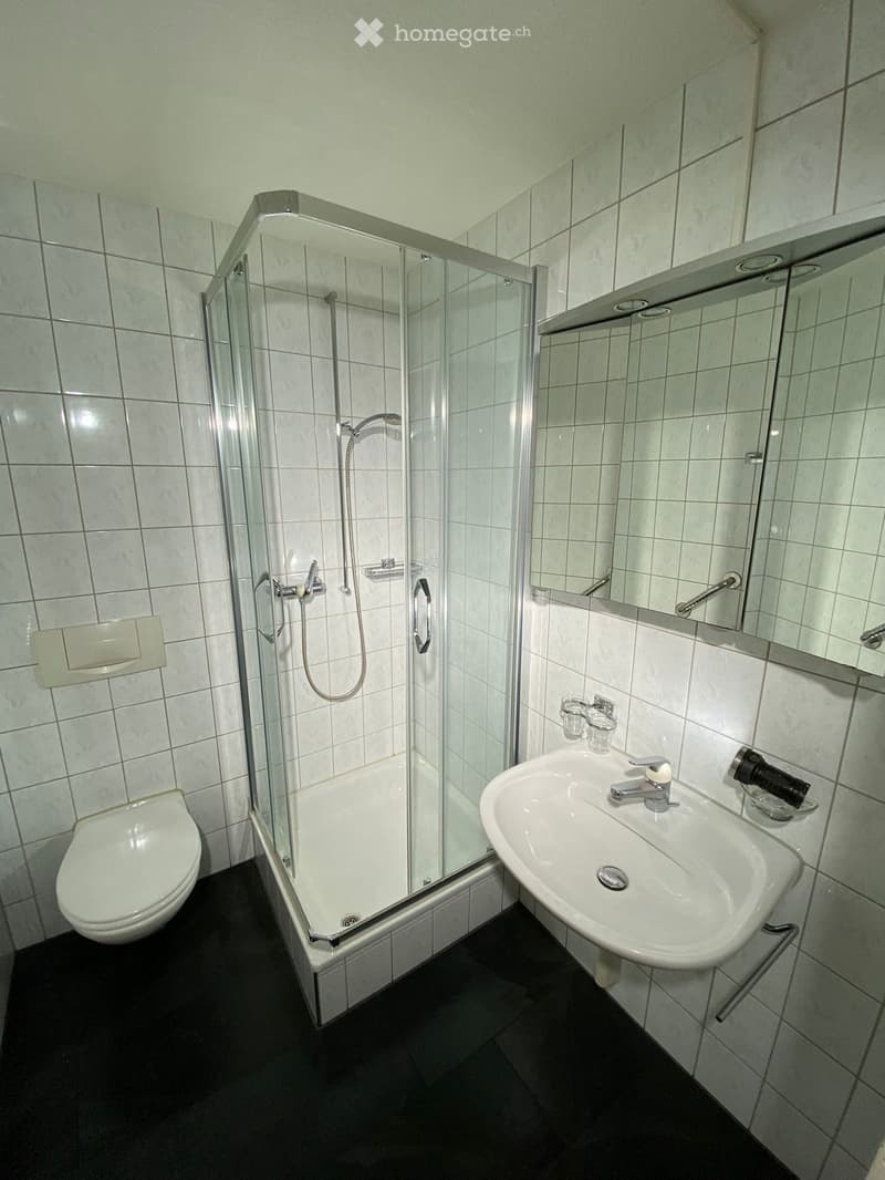 Modern bathroom with white tiles, a glass-enclosed shower, a toilet, a sink with a mirror, and a handheld showerhead.