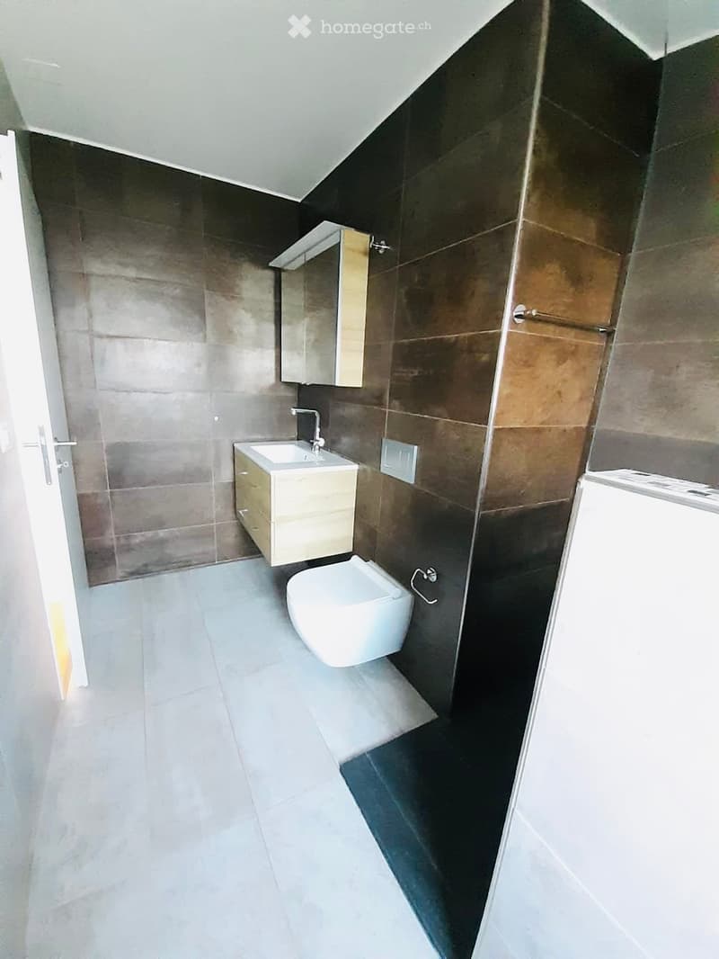Modern bathroom with dark tiled walls, white sink, toilet, and a mirrored cabinet above the sink.