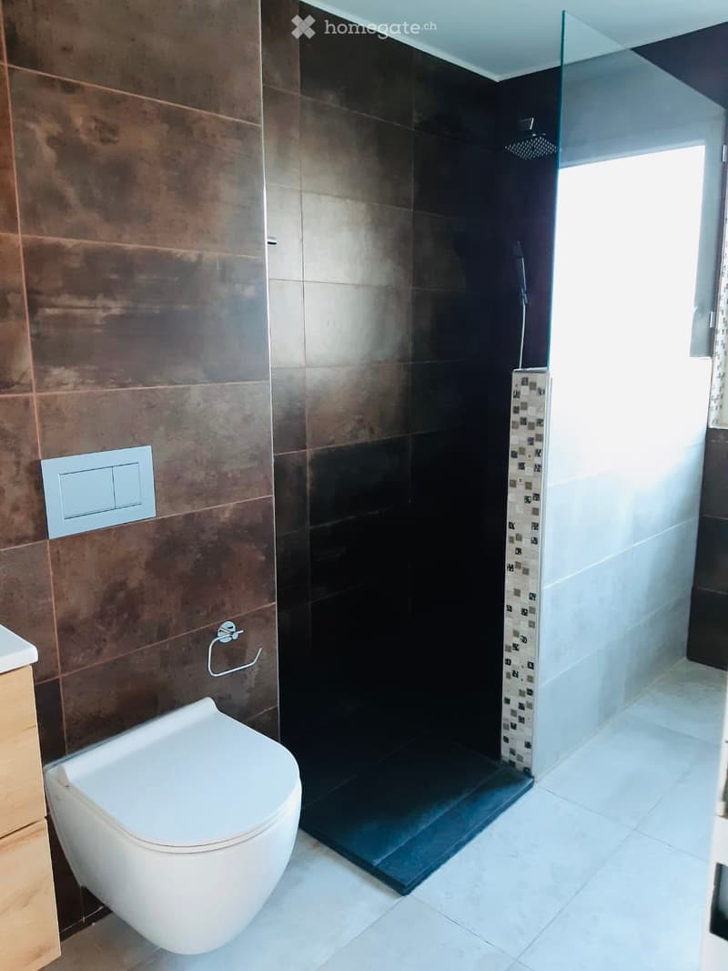 Modern bathroom with a white toilet, a glass-enclosed shower, and a towel ring on the wall.