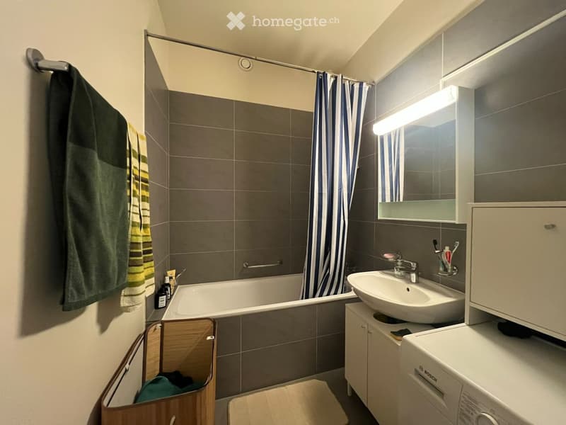 Modern bathroom with a bathtub, sink, mirror, and washing machine. Features include a shower curtain, towel rack, and storage cabinet.