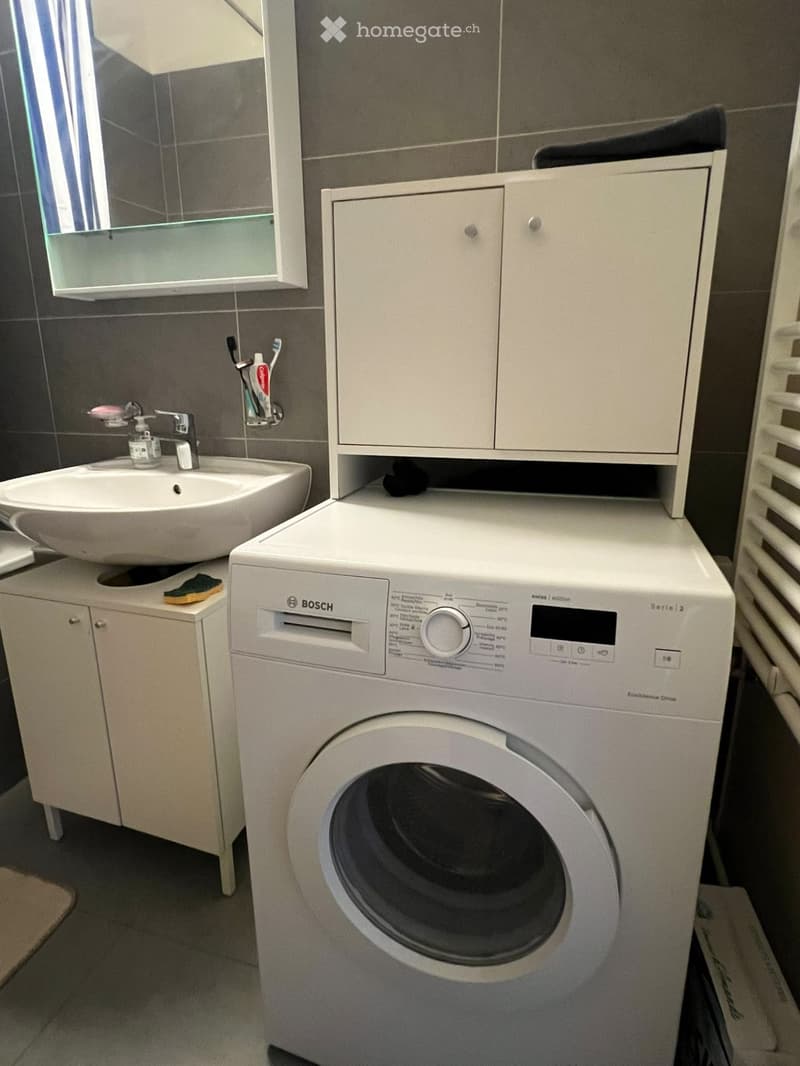 Modern bathroom with a white Bosch washing machine, sink with faucet, toothbrush holder, and cabinet.