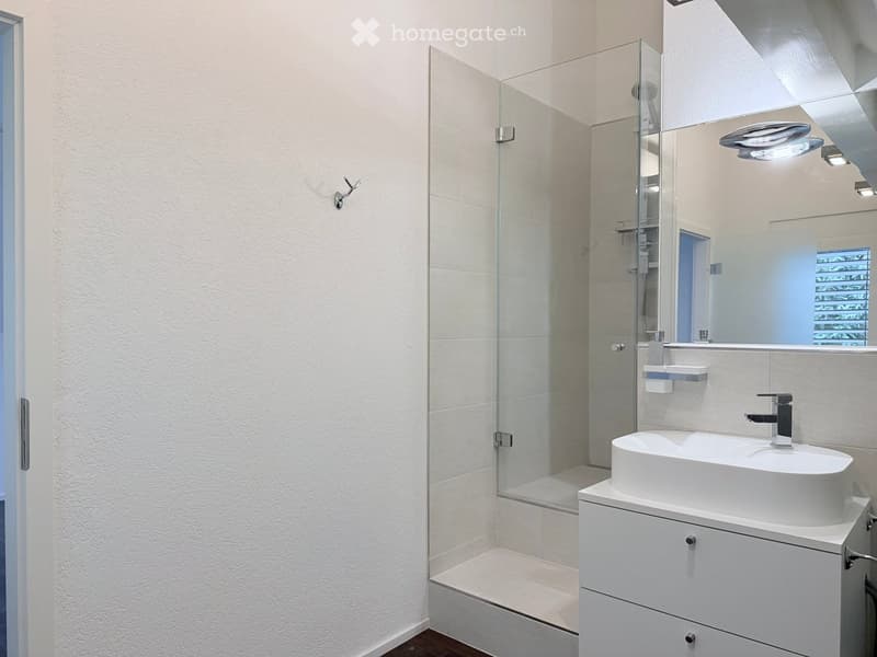 Modern bathroom with a white sink, mirror, and glass-enclosed shower. Features a sleek design with a contemporary faucet and a spacious shower area.