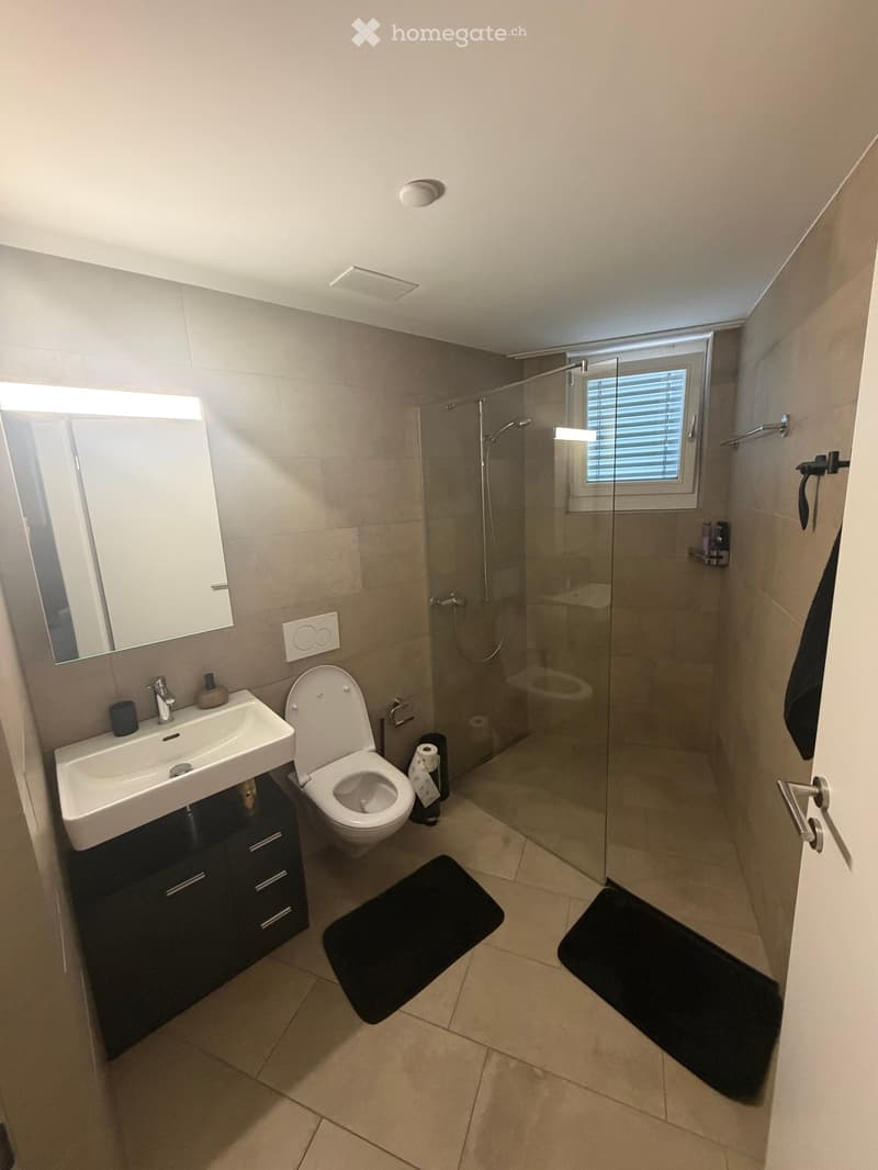 Modern bathroom with a white sink, toilet, glass-enclosed shower, and a large mirror above the sink. Beige tiles and black mats are visible.
