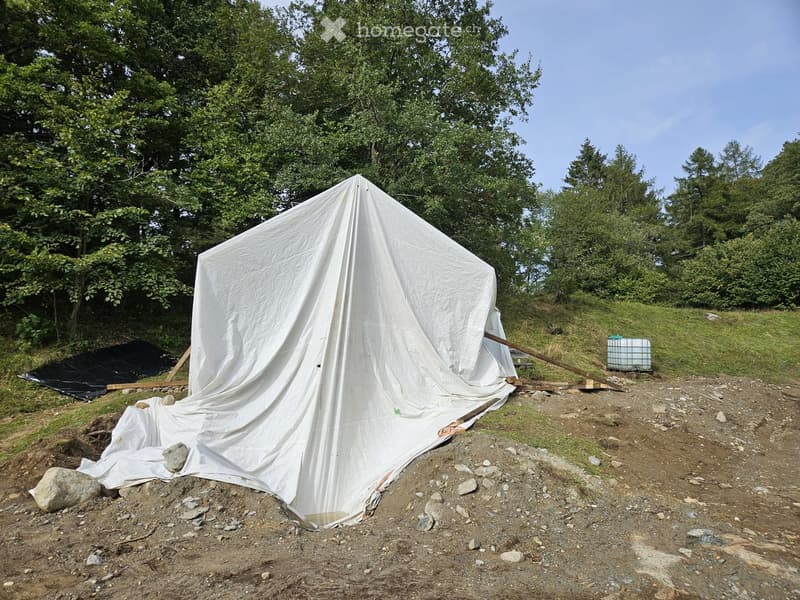 A white tent-like structure is set up on a dirt ground surrounded by trees and grass, with some rocks and a water container nearby.
