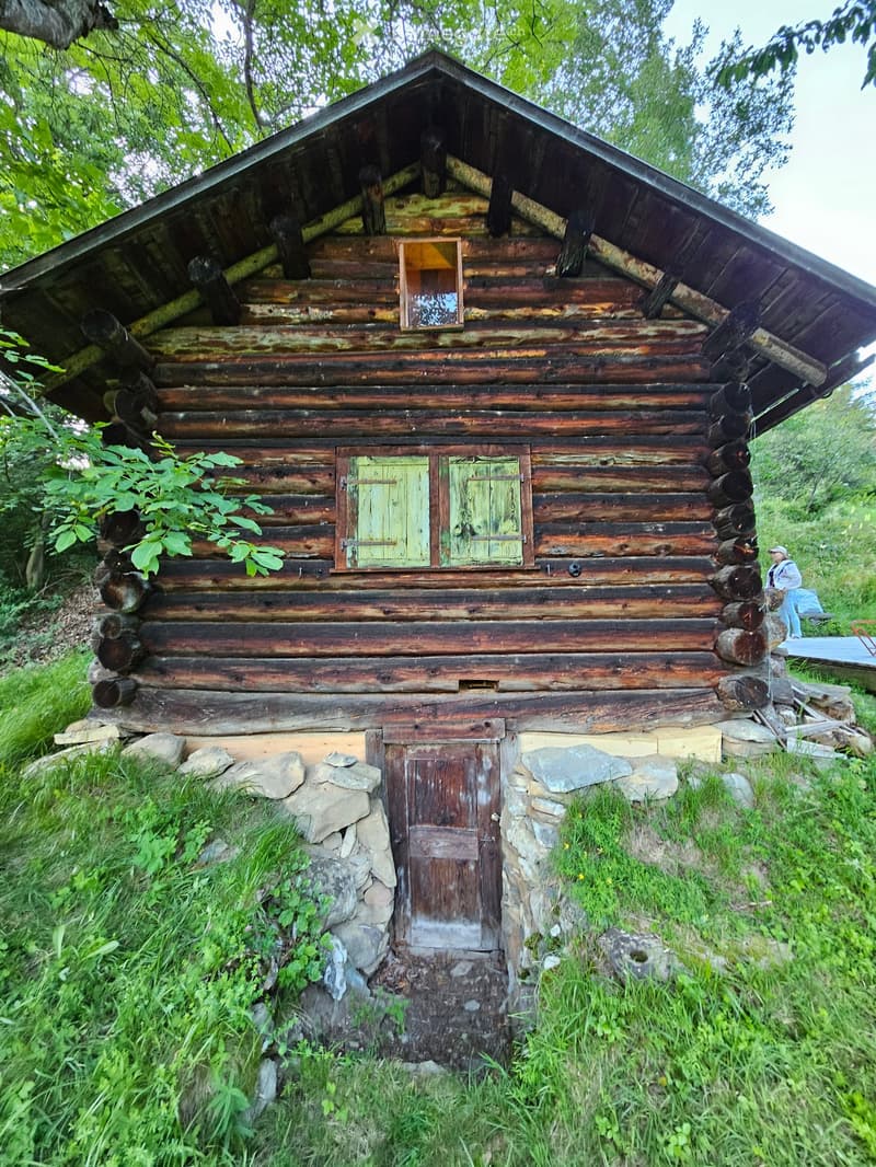 A rustic log cabin with a stone foundation, wooden doors, and a pitched roof, surrounded by greenery and logs.