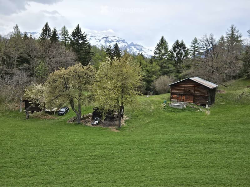 A grassy outdoor area with a wooden shed, a parked car, and trees, surrounded by a forested landscape with mountains in the background.