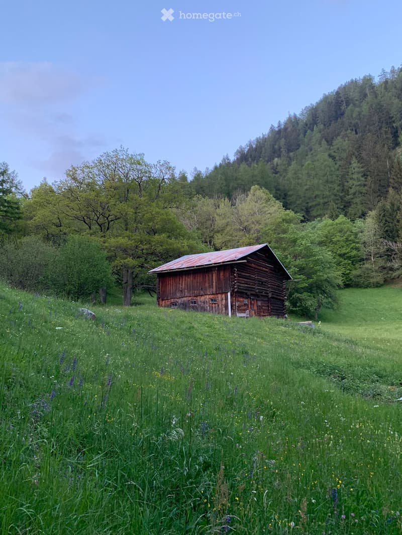 A wooden cabin with a red metal roof is situated in a lush green meadow surrounded by trees and hills.