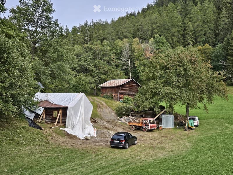 A rural outdoor area with a wooden cabin, covered structure, parked vehicles, and surrounding trees.
