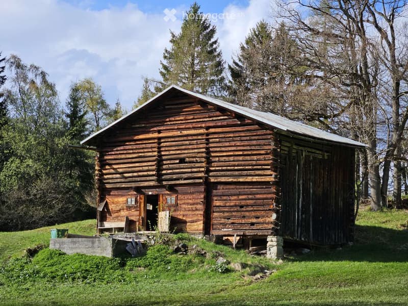 A rustic wooden cabin with a steeply pitched roof, surrounded by trees and greenery. The cabin features a small porch with a bench and a small garden area.
