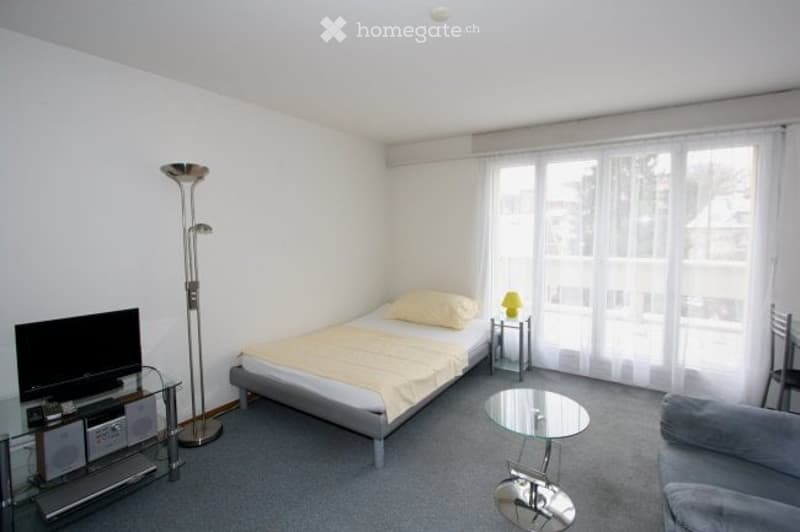Cozy bedroom with a single bed, nightstand, table lamp, chair, sofa, television, and floor lamp. Large windows with white curtains let in natural light.