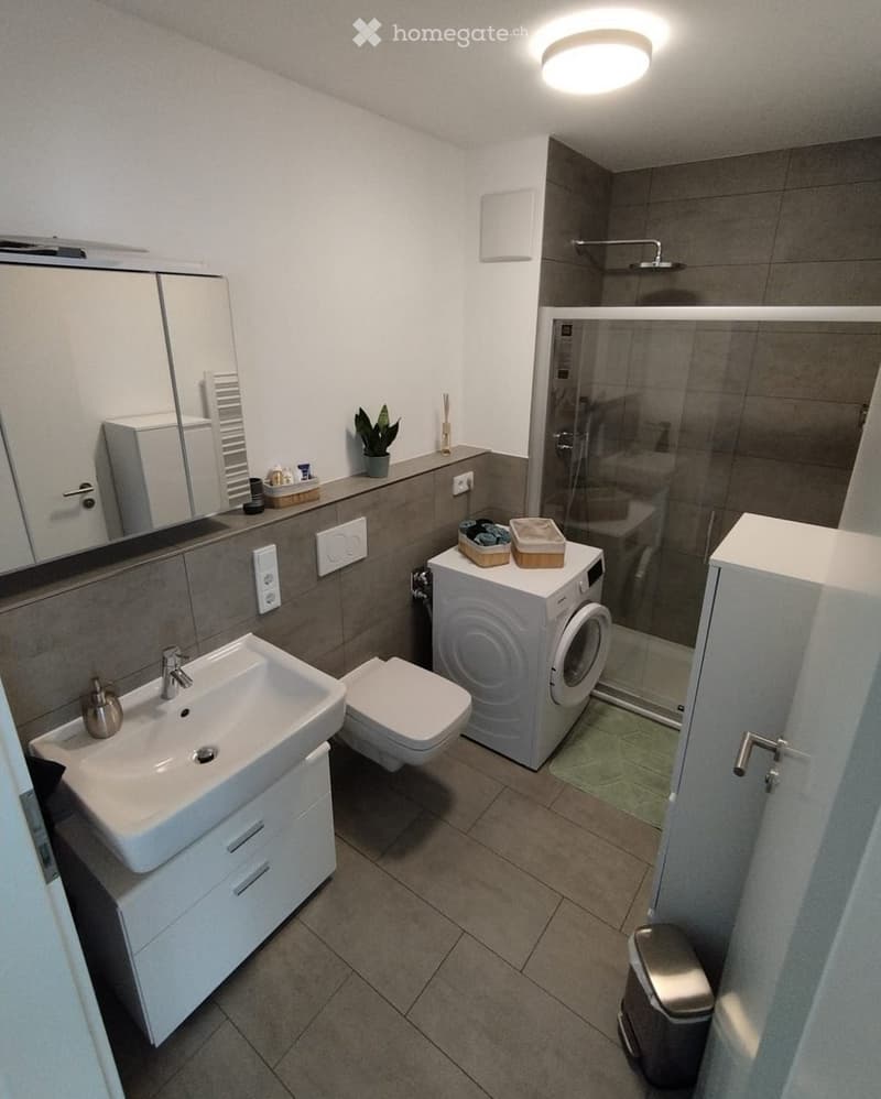 Modern bathroom with a white sink, toilet, washing machine, mirror, and a glass-enclosed shower. The space features grey tiles and a small plant on the counter.