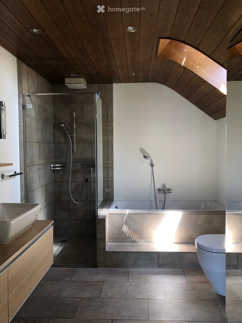 Modern bathroom with a wooden slanted ceiling, a large bathtub with a glass shower enclosure, a sink, and a toilet. The space features natural light and sleek fixtures.