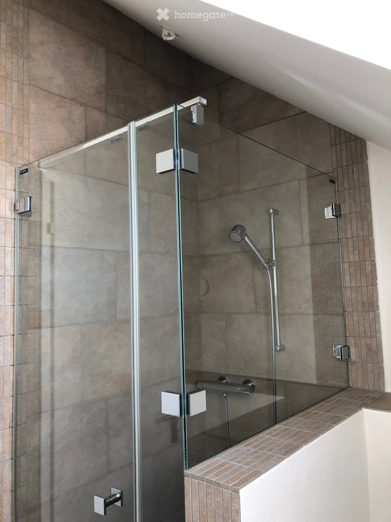 Modern bathroom shower area with a glass door enclosure, tiled walls, and a handheld showerhead.