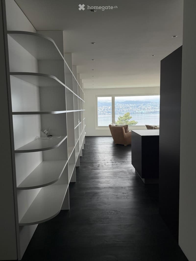 Modern hallway with dark wooden flooring, white walls, built-in shelving on one side, and a large window at the end offering a scenic view of the city and water.