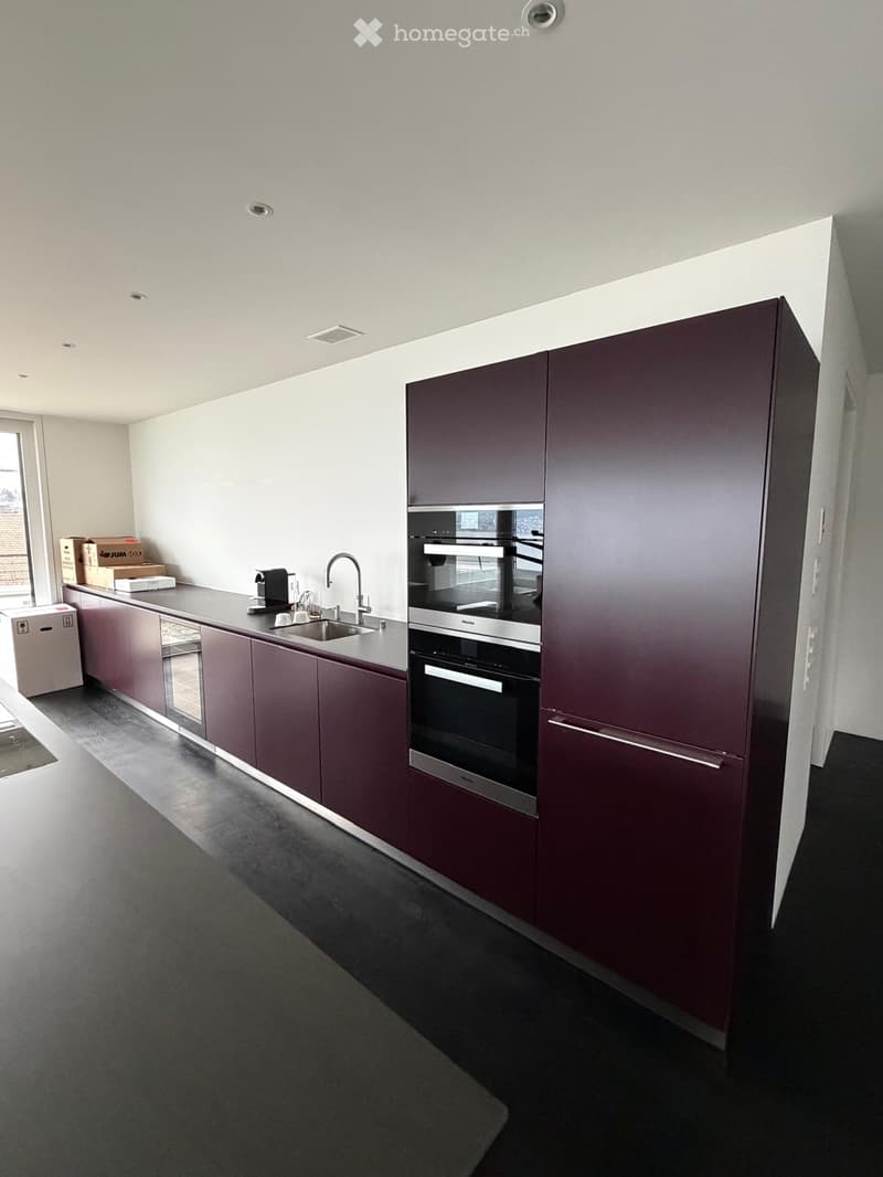 Modern kitchen with dark red cabinets, stainless steel oven, sink, and coffee maker on the counter.