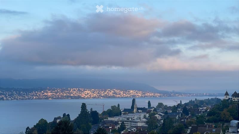 Panoramic view of a cityscape with a lake, buildings, and distant mountains under a cloudy sky.