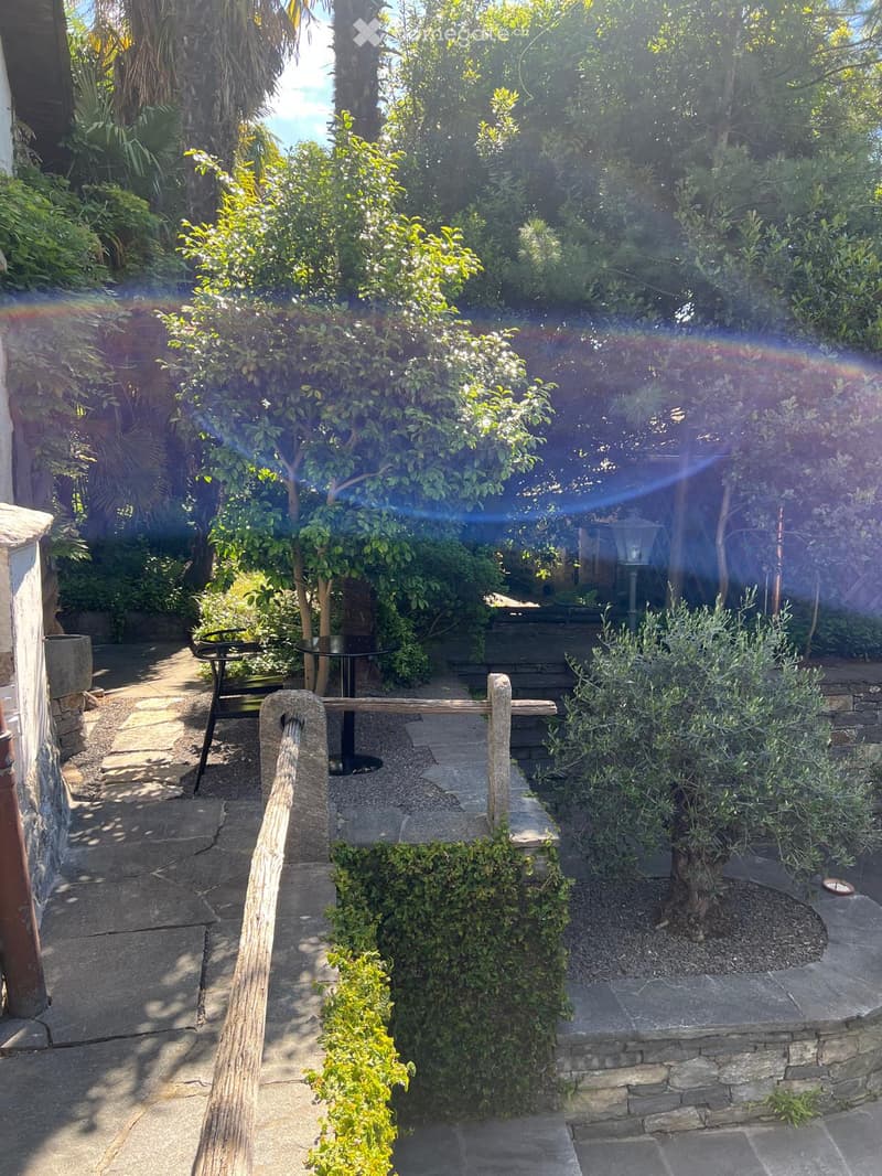 Garden with stone pathways, wooden railing, small table, and lush greenery including trees and shrubs.