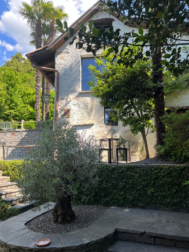 A serene garden area with a stone patio, a small table and chairs, lush greenery, and a rustic white building with large windows in the background.