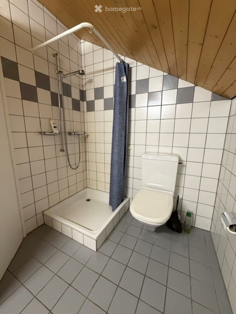 Modern bathroom with a white tiled shower area, toilet, and built-in wooden ceiling. Includes a shower curtain, shelf, and cleaning supplies.