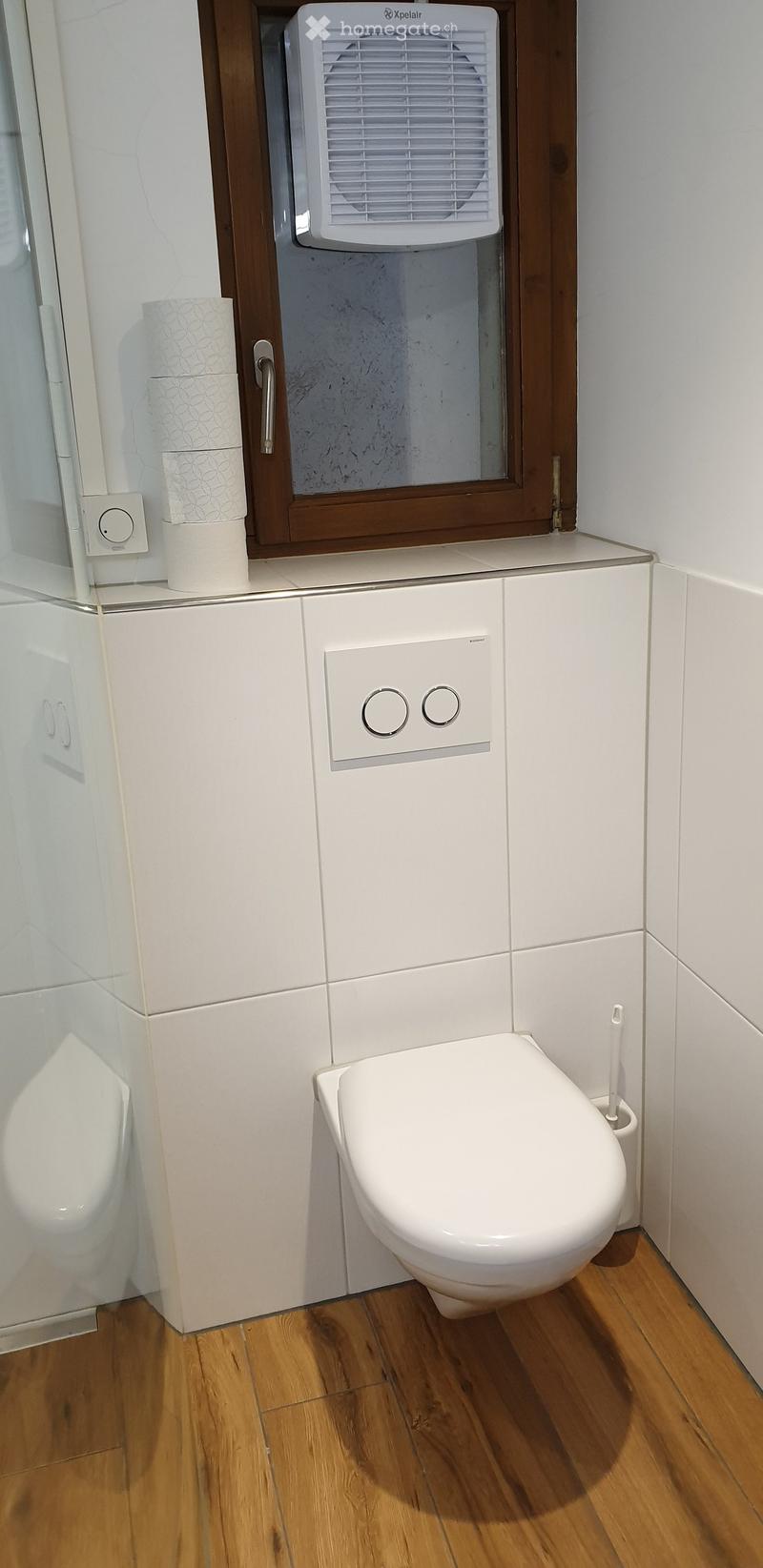 Modern bathroom with a toilet, toilet paper holder, toothbrush holder, and a vent above the toilet.