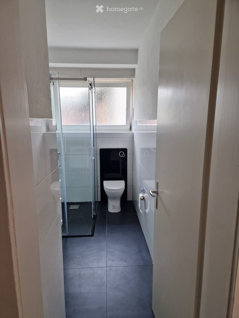 Modern bathroom with glass shower enclosure, white toilet, black tiled floor, and white walls