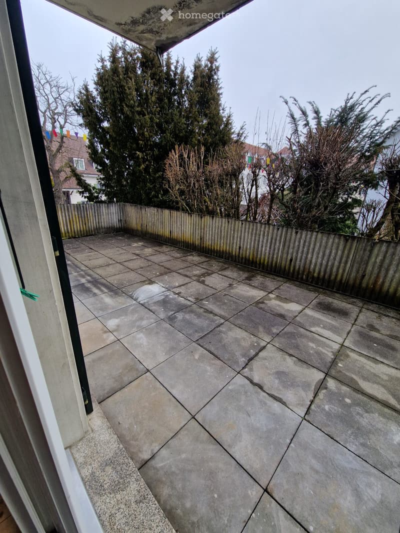 tiled terrace, wooden fence, bare trees, paved area