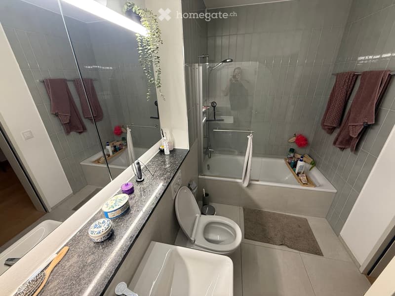 Modern bathroom with a toilet, bathtub, sink, and shower area. The countertop has various bathroom accessories, and towels are neatly hung on the walls.