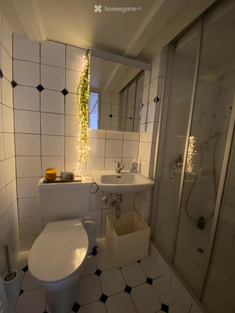 Modern bathroom with white tiles, a toilet, sink, mirror, and glass-enclosed shower. Features a decorative string light hanging from the ceiling and a small trash bin under the sink.