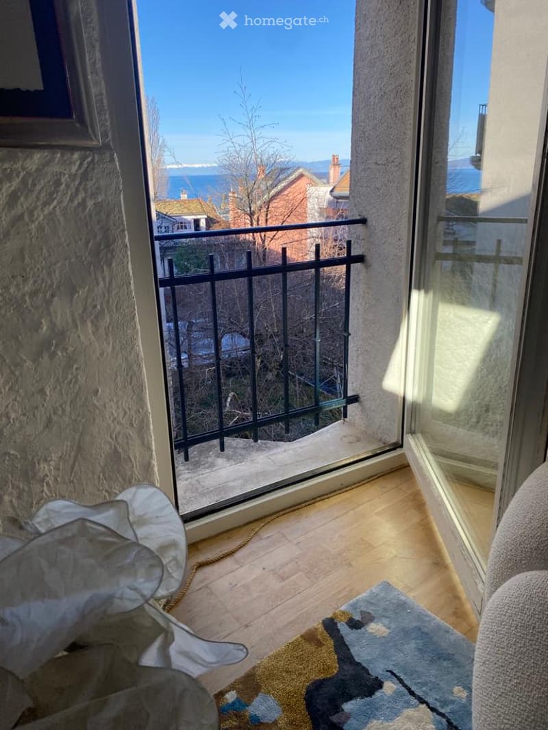 Balcony with a view of the sea, featuring a metal railing, wooden floor, and a colorful rug inside the room.