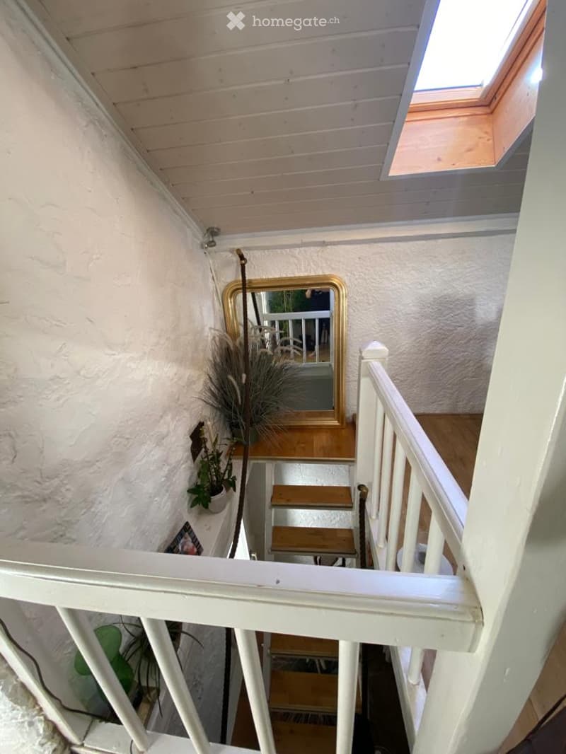 Staircase with wooden steps and white railings, featuring a decorative mirror and potted plants on the landing.