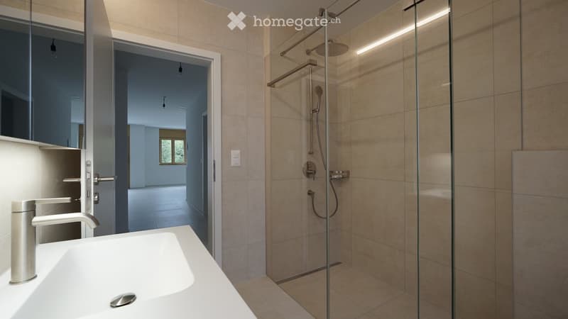 Modern bathroom with a white sink, sleek faucet, glass-enclosed shower with a handheld showerhead, and a large mirror above the sink.