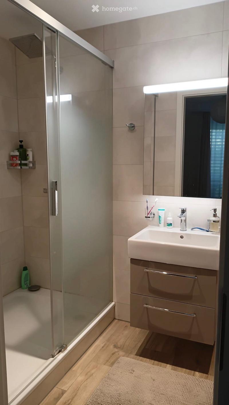 Modern bathroom with a glass-enclosed shower, a white sink with a modern faucet, a mirrored cabinet, and a built-in storage cabinet below the sink. The floor is wooden, and a small rug is placed in front of the sink.