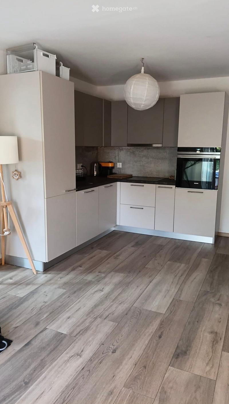 Modern kitchen with light grey cabinets, white countertops, and wooden flooring. Features include a refrigerator, oven, microwave, and a hanging lamp.
