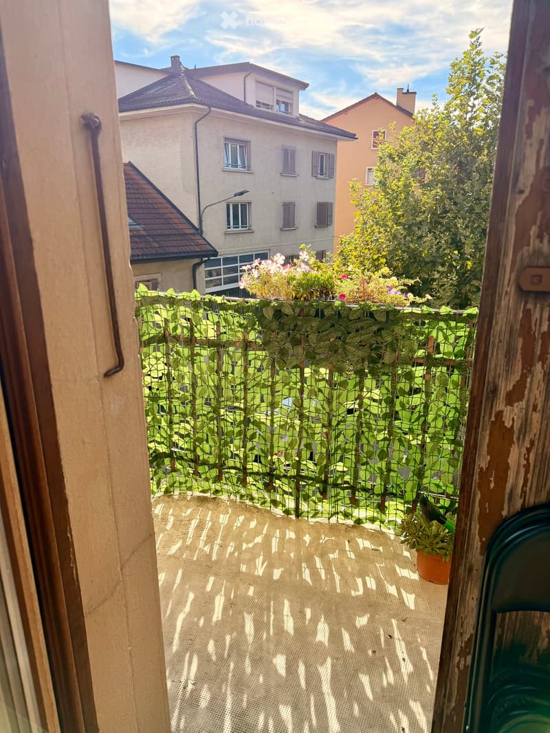 Balcony with a mesh screen, potted plant, and view of neighboring houses and greenery.