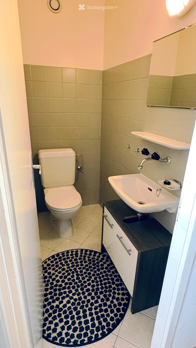 Compact bathroom with a toilet, sink, and dark wooden cabinet. Features a patterned black and white rug on the floor and a mirror above the sink.