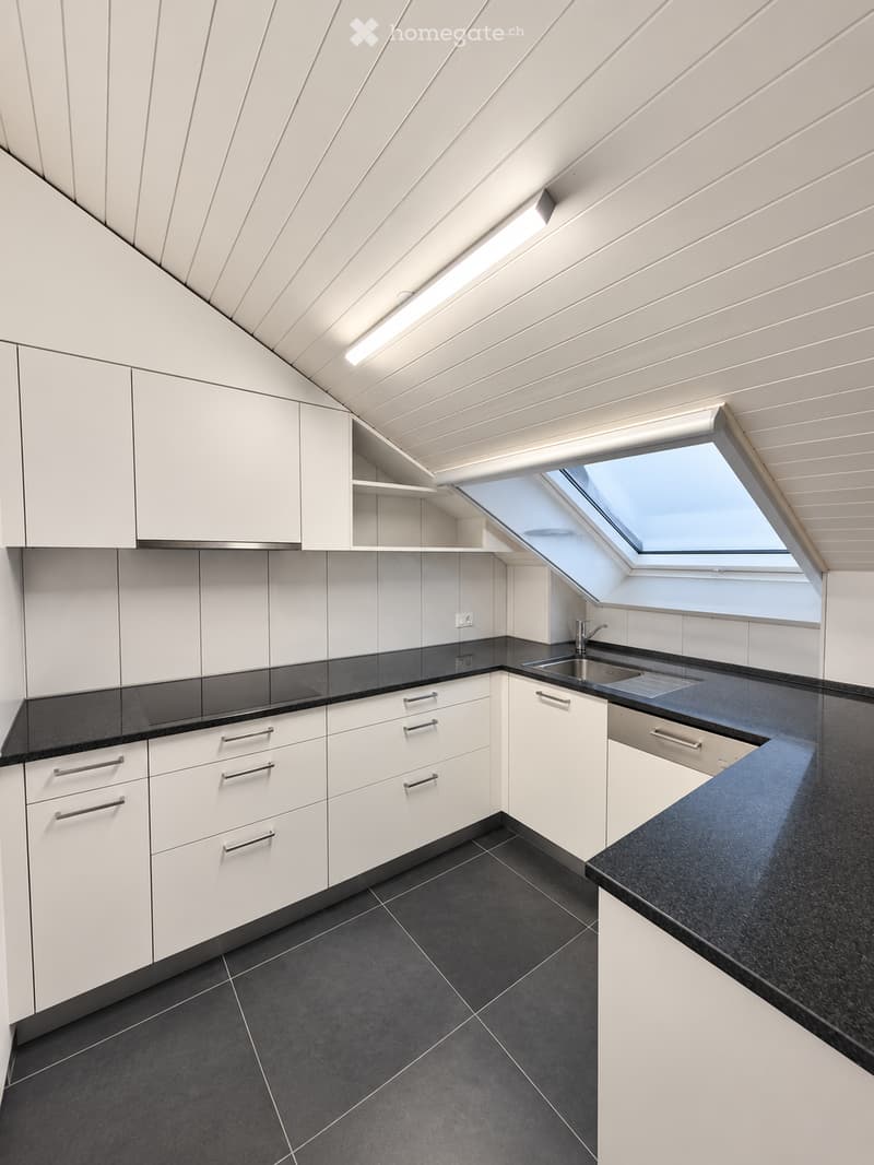 Modern kitchen with white cabinets, black countertops, and a skylight window above the sink.