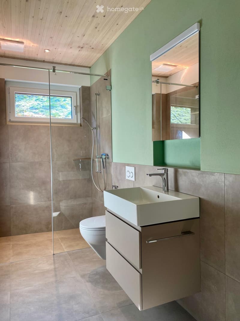 Modern bathroom with a large sink, mirror, toilet, and glass-enclosed shower area. The space features light green walls, wooden ceiling beams, and a large window providing natural light.