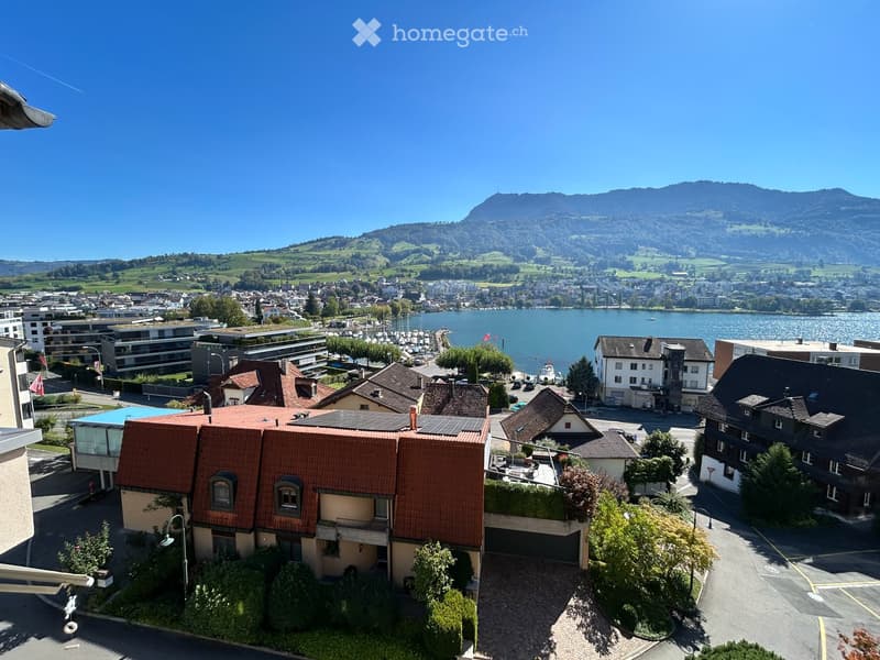 Room in a shared apartment in Küssnacht am Rigi (3)