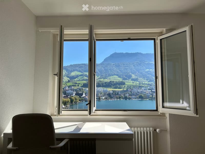 Room in a shared apartment in Küssnacht am Rigi (2)