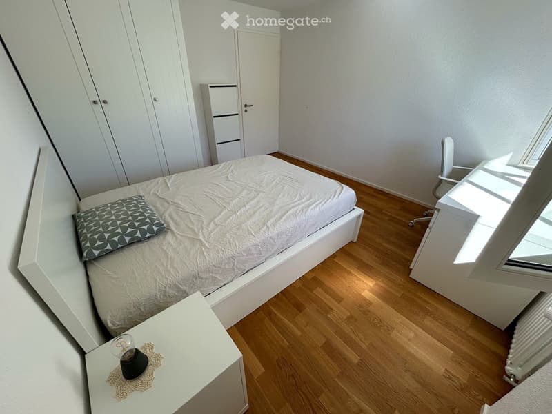 Room in a shared apartment in Küssnacht am Rigi (4)