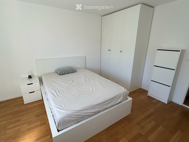 Room in a shared apartment in Küssnacht am Rigi (5)